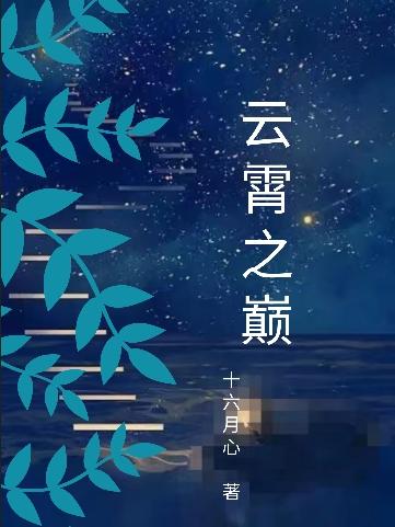 云霄之巅网吧