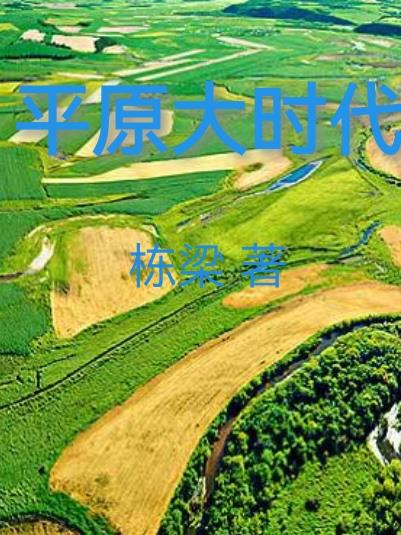 小说大平原简介